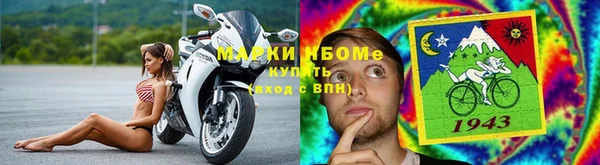 дурь Горно-Алтайск