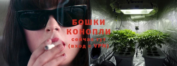 дурь Горно-Алтайск