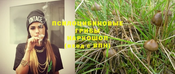 дурь Горно-Алтайск