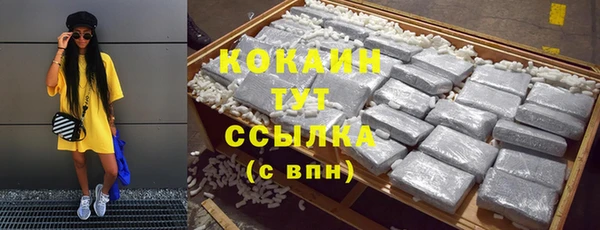 дурь Горно-Алтайск